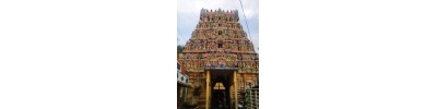 காசி விஸ்வநாதர்